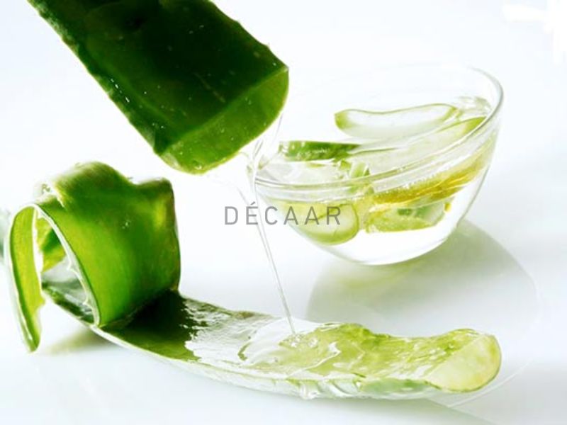 Trị mụn đầu trắng ở lưng với nha đam